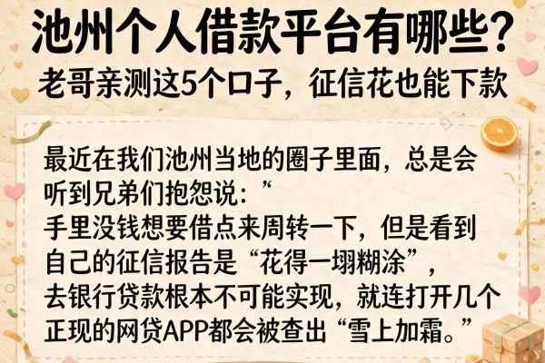 池州个人借款平台有哪些？老哥亲测这5个口子，征信花也能下款