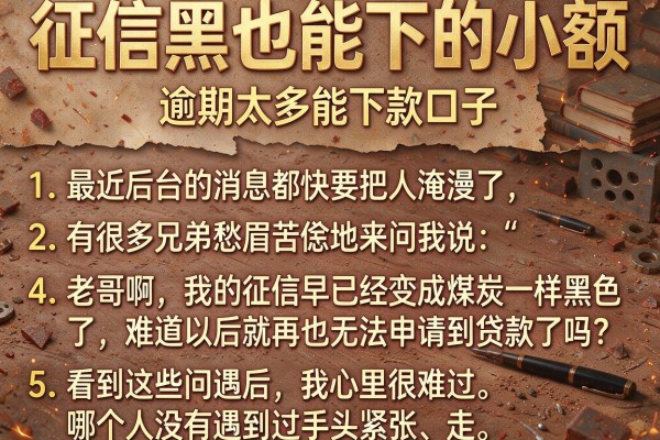 征信黑也能下的小额，条列5个逾期太多能下款口子
