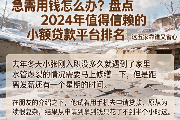 急需用钱怎么办？盘点2024年值得信赖的小额贷款平台排名，这五家靠谱又省心