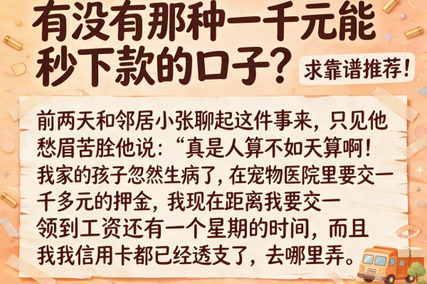 有没有那种一千元能秒下款的口子?求靠谱推荐!