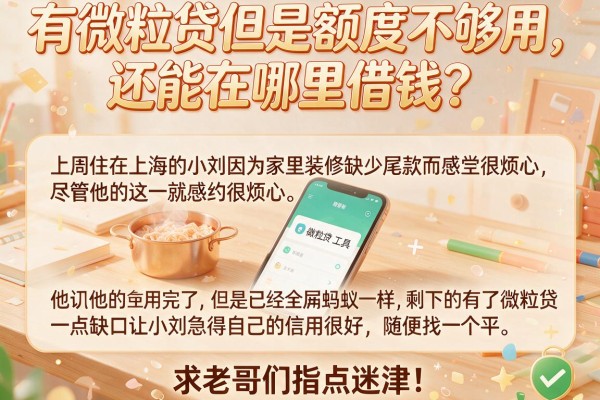 有微粒贷但是额度不够用，还能在哪里借钱？求老哥们指点迷津！