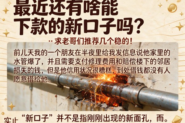 最近还有啥能下款的新口子吗？求老哥们推荐几个稳的！
