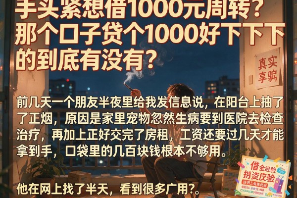 手头紧想借1000元周转？那个口子贷个1000好下的到底有没有？真实经验分享