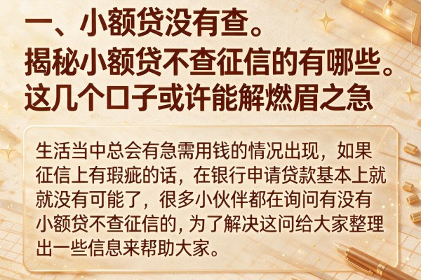 揭秘小额贷不查征信的有哪些，这几个口子或许能解燃眉之急