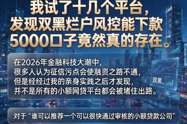 我试了十几个平台，发现双黑烂户风控能下款5000口子竟然真的存在