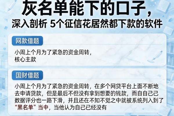 灰名单能下的口子，深入剖析5个征信花居然都下款的软件