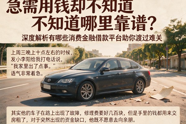 急需用钱却不知道哪里靠谱？深度解析有哪些消费金融借款平台助你渡过难关