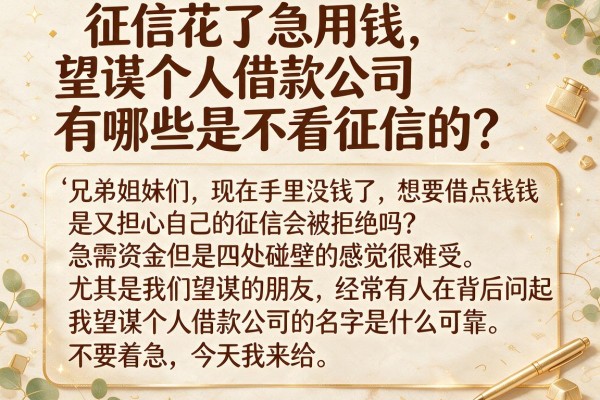 征信花了急用钱，望谟个人借款公司有哪些是不看征信的？