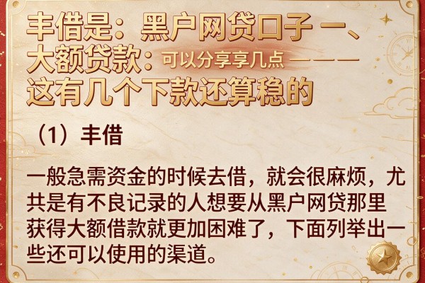 黑户网贷口子 大额贷款：这有几个下款还算稳的