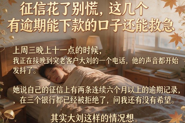 征信花了别慌，这几个有逾期能下款的口子还能救急