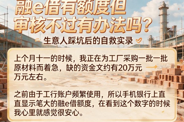 融e借有额度但审核不过有办法吗？生意人踩坑后的自救实录