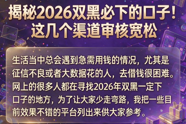 揭秘2026双黑必下的口子,这几个渠道审核宽松
