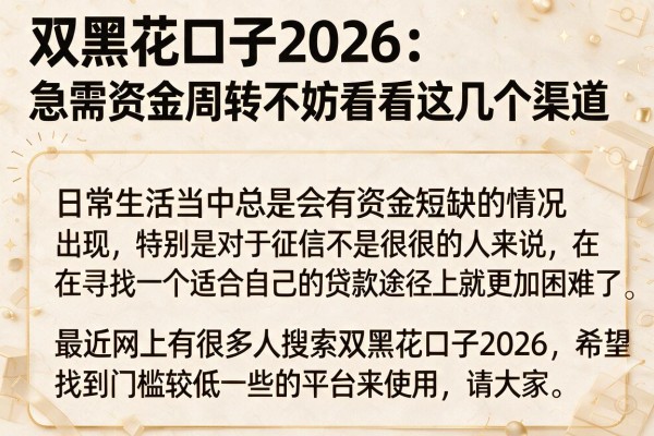 双黑花口子2026：急需资金周转不妨看看这几个渠道