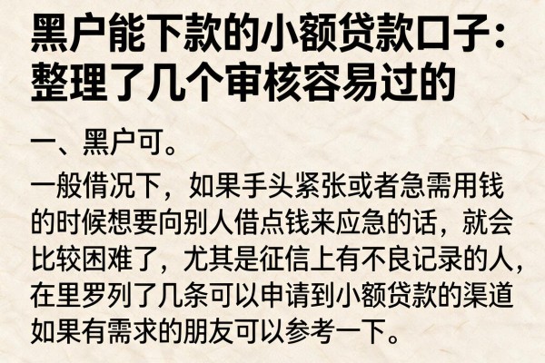 黑户能下款的小额贷款口子：整理了几个审核容易过的