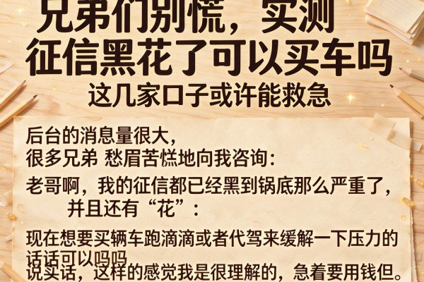 兄弟们别慌，实测征信黑花了可以买车吗，这几家口子或许能救急