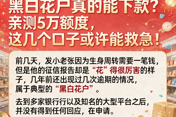 黑白花户真的能下款？亲测5万额度，这几个口子或许能救急！