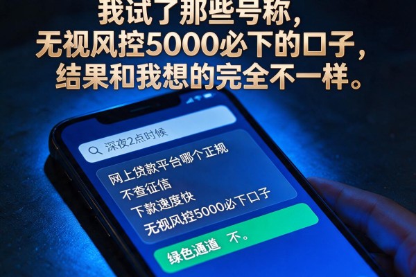 我试了那些号称无视风控5000必下的口子,结果和我想的完全不一样