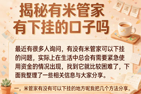 揭秘有米管家有下挂的口子吗，整理了10个备用渠道
