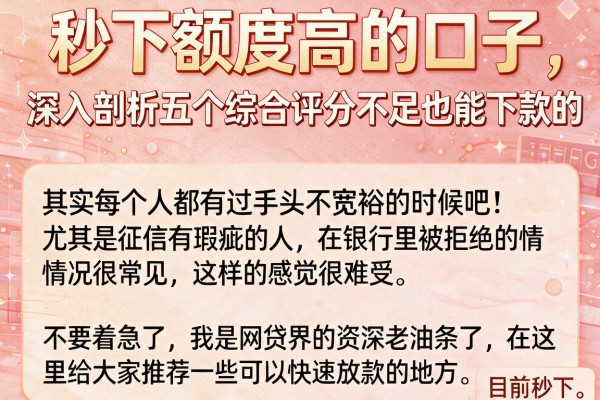 秒下额度高的口子，深入剖析五个综合评分不足也能下款的网贷