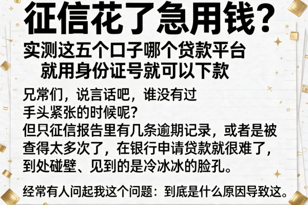 征信花了急用钱？实测这五个口子哪个贷款平台就用身份证号就可以下款