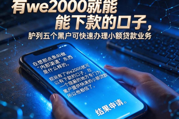 有we2000就能下款的口子，胪列五个黑户可快速办理小额贷款业务的软件