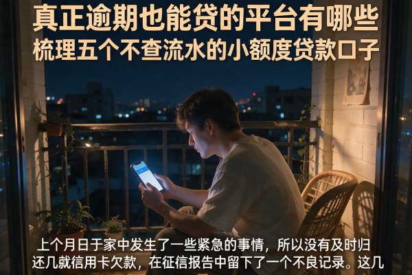 真正逾期也能贷的平台有哪些，梳理五个不查流水的小额度贷款口子