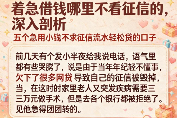 着急借钱哪里不看征信的，深入剖析五个急用小钱不求征信流水轻松贷的口子