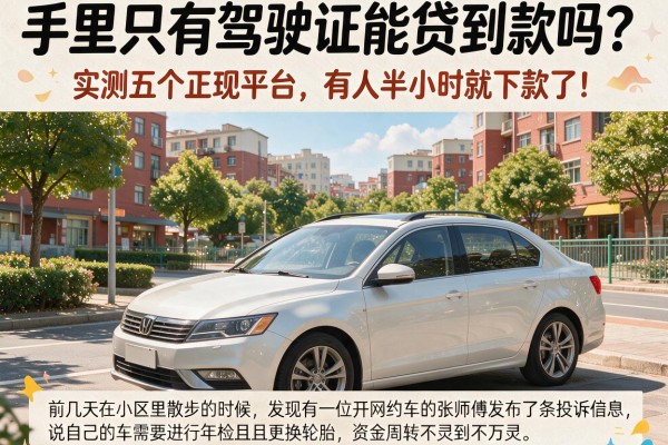 手里只有驾驶证能贷到款吗？实测五个正规平台，有人半小时就下款了！