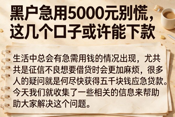 黑户急用5000元别慌，这几个口子或许能下款