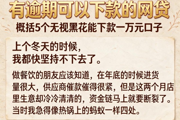 有逾期可以下款的网贷，概括5个无视黑花能下款一万元口子