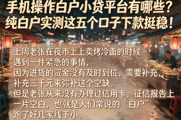 手机操作白户小贷平台有哪些？纯白户实测这五个口子下款挺稳！
