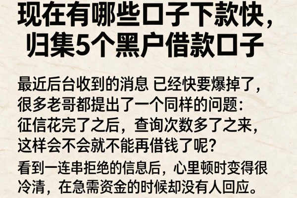 现在有哪些口子下款快，归集5个黑户借款口子