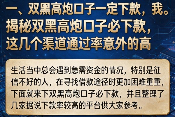 揭秘双黑高炮口子必下款，这几个渠道通过率意外的高