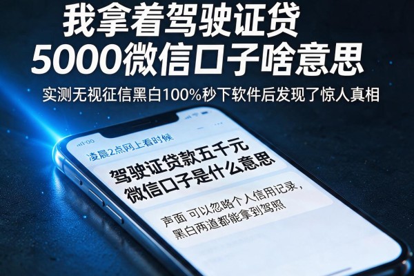 我拿着驾驶证贷5000微信口子啥意思，实测无视征信黑白100%秒下软件后发现了惊人真相