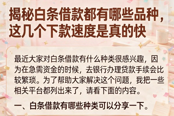 揭秘白条借款都有哪些品种,这几个下款速度是真的快