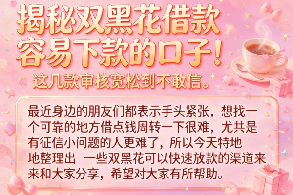 揭秘双黑花借款容易下款的口子，这几款审核宽松到不敢信