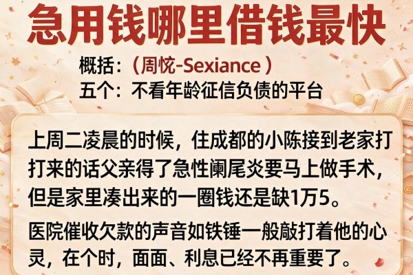 急用钱哪里借钱最快，概括五个不看年龄征信负债的平台