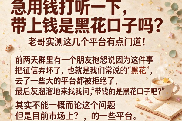 急用钱打听一下，带上钱是黑花口子吗？老哥实测这几个平台有点门道！