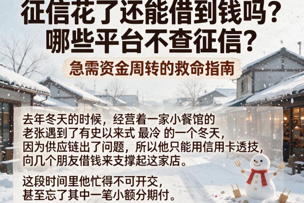 征信花了还能借到钱吗？哪些平台不查征信？急需资金周转的救命指南