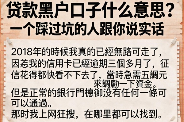 贷款黑户口子什么意思？一个踩过坑的人跟你说实话