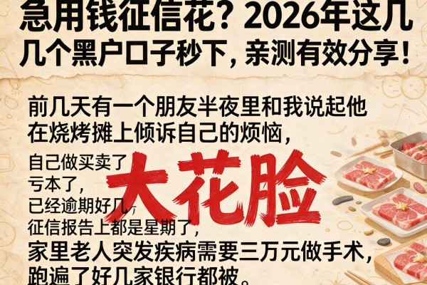 急用钱征信花？2026年这几个黑户口子秒下，亲测有效分享！
