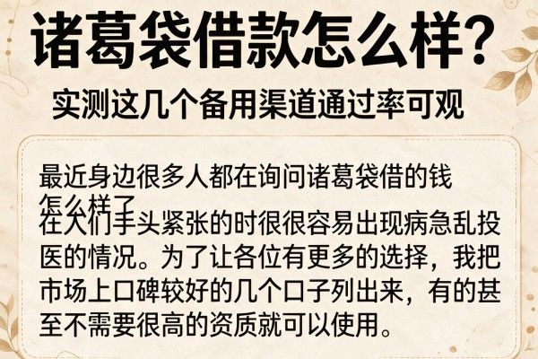 诸葛袋借款怎么样？实测这几个备用渠道通过率可观