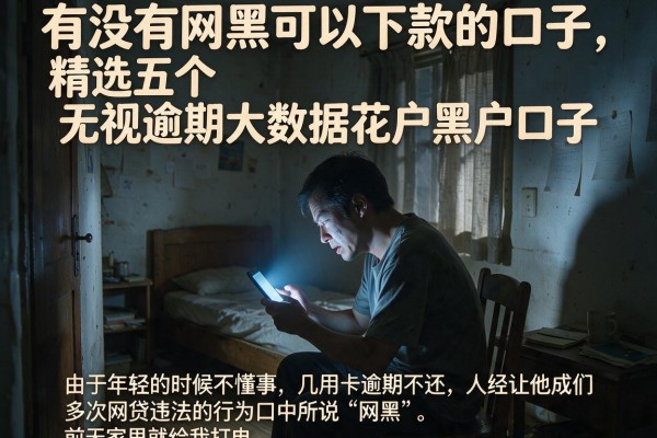 有没有网黑可以下款的口子，精选五个无视逾期大数据花户黑户口子