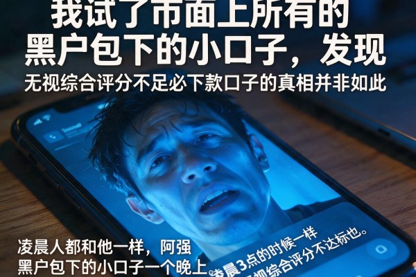 我试了市面上所有的黑户包下的小口子，发现无视综合评分不足必下款口子的真相并非如此