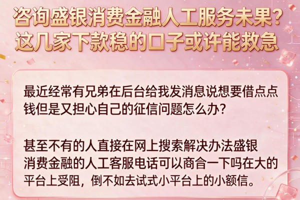咨询盛银消费金融人工服务未果？这几家下款稳的口子或许能救急