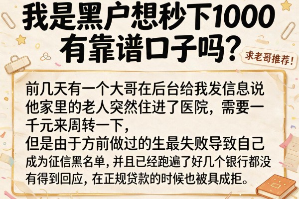 我是黑户想秒下1000有靠谱口子吗？求老哥推荐！
