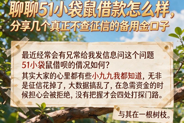 聊聊51小袋鼠借款怎么样，分享几个真正不查征信的备用金口子