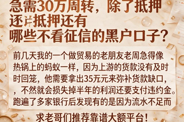 急需30万周转，除了抵押还有哪些不看征信的黑户口子？求老哥们推荐靠谱大额平台！