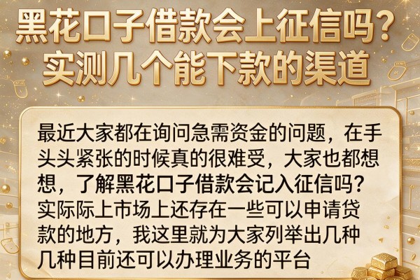 黑花口子借款会上征信吗？实测几个能下款的渠道