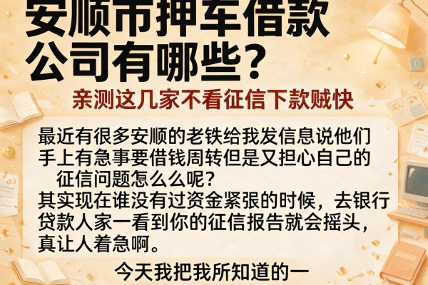 安顺市押车借款公司有哪些？亲测这几家不看征信下款贼快